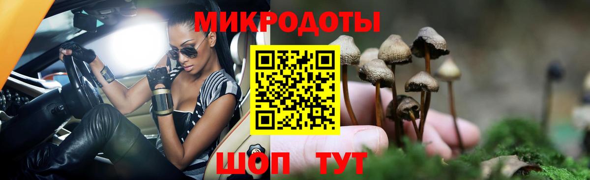 Кинель  Галлюциногенные грибы мухоморы  Вход с VPN 